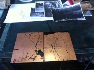 tree house and lake copper plates before Aquatint